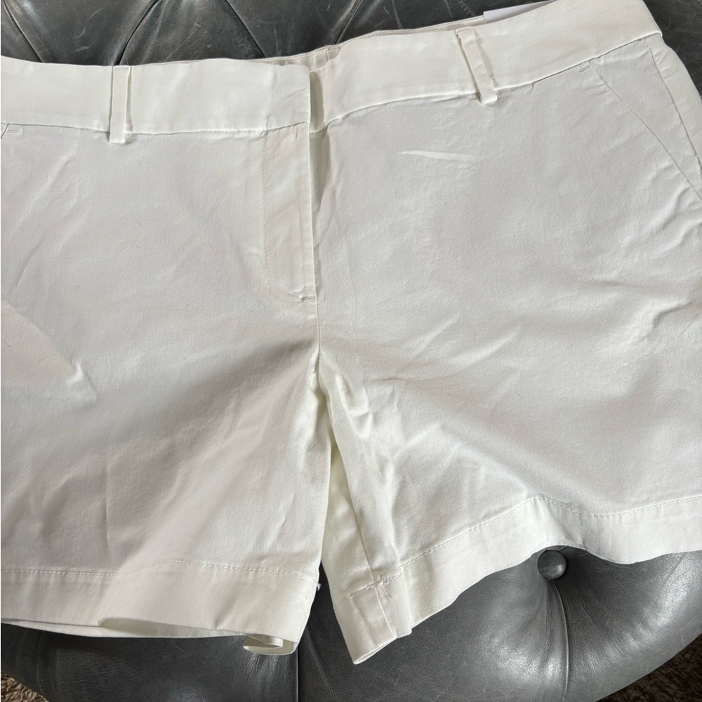 Loft shorts. NWT!